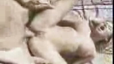Stående på knä flickvän professionellt kåta svenska fittor suger kuk